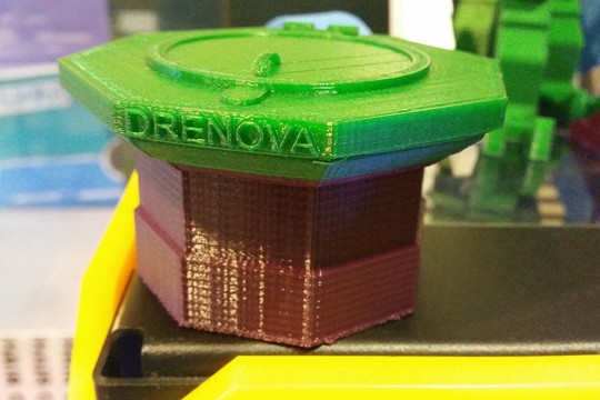 Drenovski suvenir: 3D isprintana šterna 