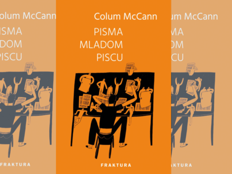 Colum McCann, Pisma mladom piscu: Literarni savjeti u novom ruhu