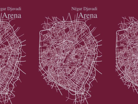 "Arena" Negar Djavadi: mračan kaleidoskop suvremenog Pariza