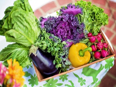 Što podrazumijeva „organski uzgoj“ povrća i kakav je to organski vrt?